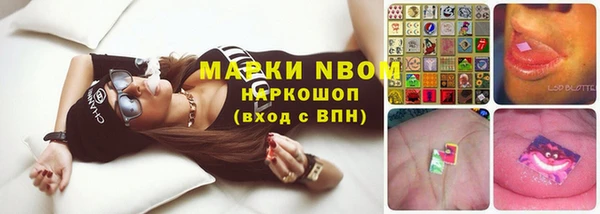 ECSTASY Вяземский