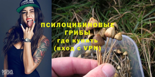ECSTASY Вяземский