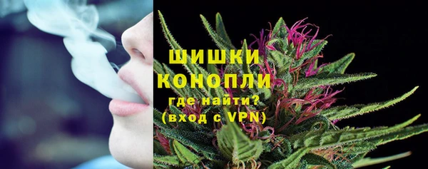 ECSTASY Вяземский