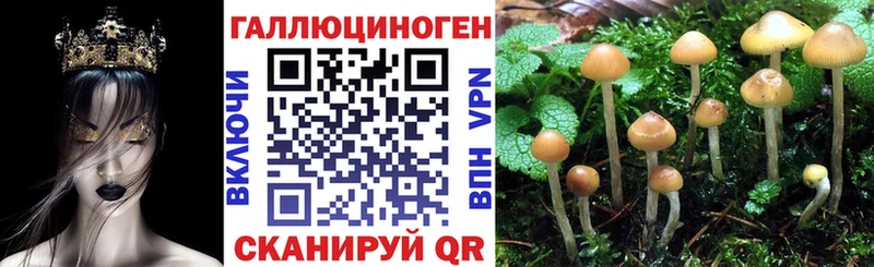 Купить закладки  Пыть-Ях  Псилоцибиновые грибы ЛСД 